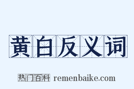 黄白反义词是什么意思的图片
